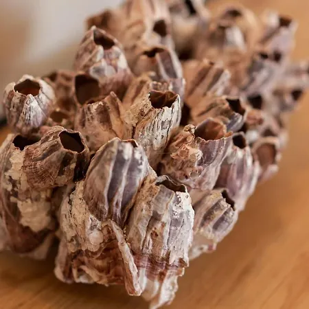 Apartament Luxury Peitho Opatija