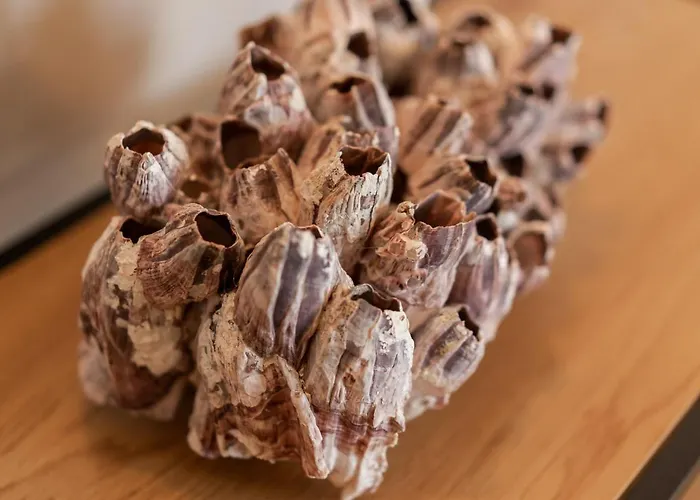 Apartmán Luxury Peitho Opatija